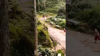 Leopard Attacks In Uttarakhand #leopard #leopards #ranikhet #wildlife#dangerzone#uttarakhand #shorts