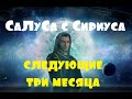 СаЛуСа с Сириуса: следующие три месяца