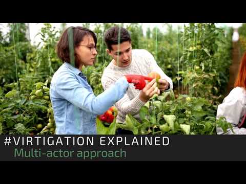 VIRTIGATION explained: Multi-actor approach VIRTIGATION explained: Multi-actor approach
