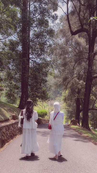 kebun raya cibodas 😍💗💗