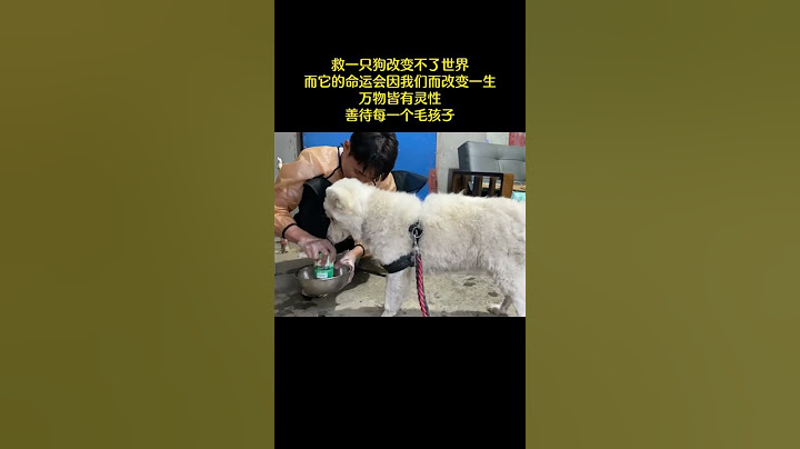 救下壹只狗改變不了世界，而它的命運會因我們而改變壹生，萬物皆有靈性，善待每壹個毛孩子 - 天天要聞
