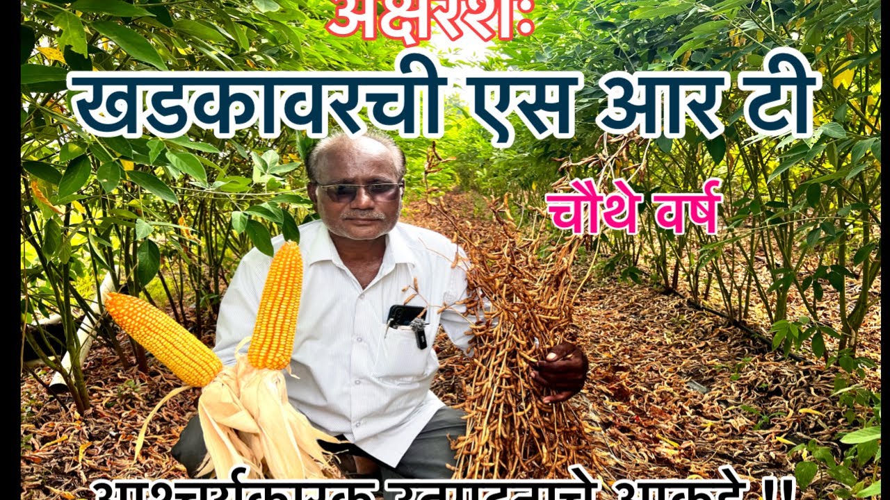 अक्षरशः खडकावरची एस आर टी।आश्चर्यकारक उत्पादन