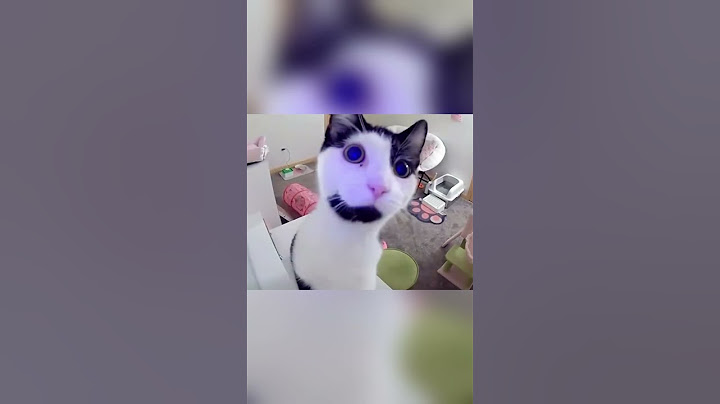 The reaction of calling the cat in the surveillance#kitten #cat #funnytiktok #youtube