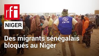 Niger : des migrants sénégalais livrés à eux-mêmes en plein désert • RFI