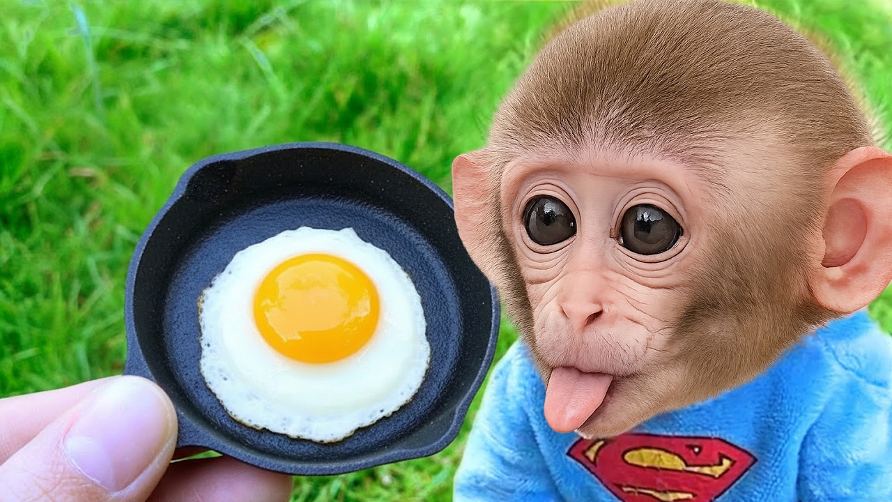 Bim Si Monyet Sangat Senang Saat Ayah Membuatkan Telur Ceplok Lezat!
