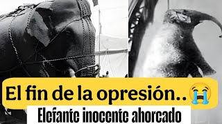 “La colgaron en la estación”: el caso de Mary y la indignación social