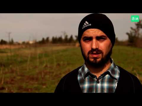 ჩანდლერის კაკლის გაშენება_Chandler Walnuts Farming IPIN