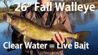 Minnesota Walleye & Northern Pike Fishing with Live Bait - 11/8/2016 iFishMN Video