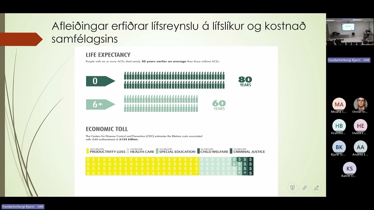 20.2.2026 - Áfallastreituröskun og flókin áfallastreita  - Mat og meðferð