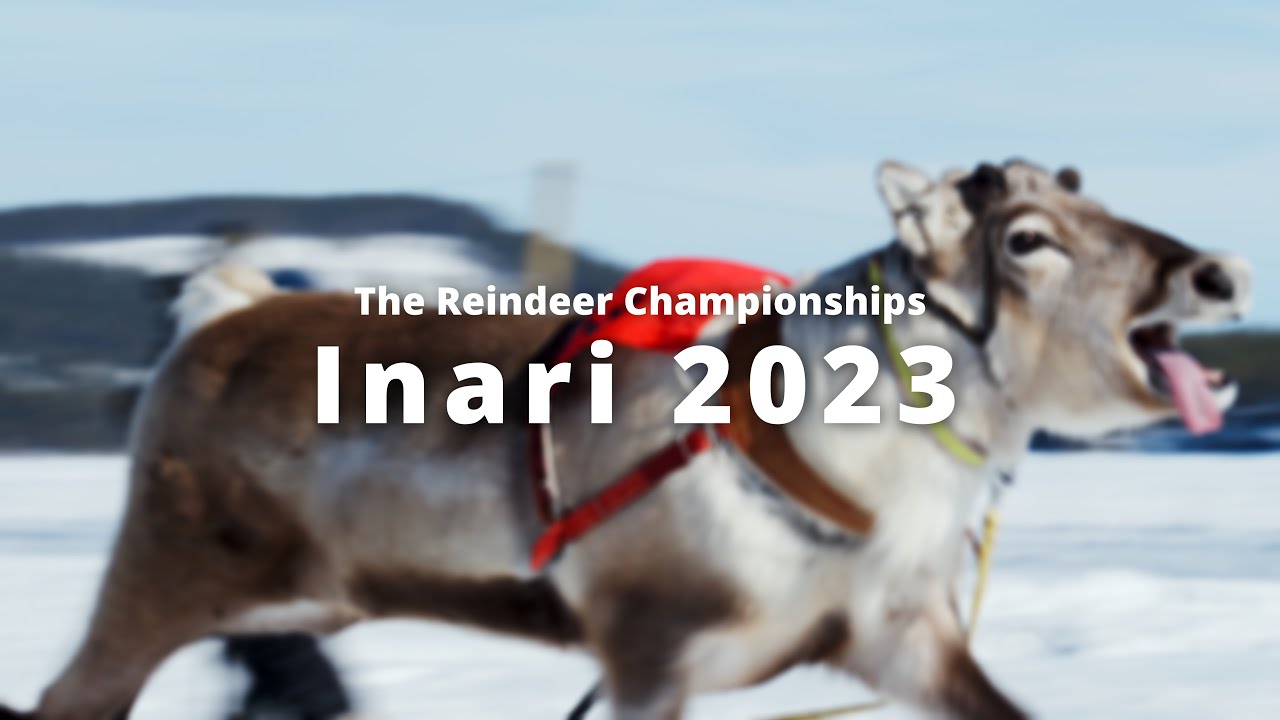 The Reindeer Championships | Inari 2023