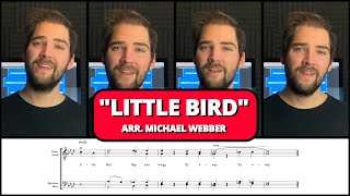 Possibly my new favorite barbershop tag of all time - Little Bird by Michael Webber
This is possibly my new favorite tag of all time. At least when it comes to quiet tags.
Michael Webber really hit it out of the park with this one. Hes a genius barbershop arranger and you should for sure check out his work right here https://www.youtube.com/@michaelwebber6188
As usual theres a tag tutorial so you can learn all 4 four parts (or just the one you wanna sing) and singalong section too. For me personally, the singalong section is probably my favorite, because it puts me in charge of making everything sound amazing.
0:00-0:30 The Tag
0:30-1:04 Lead Predominant
1:04-1:39 Bass Predominant
1:39-2:13 Baritone Predominant
2:13-2:47 Tenor Predominant
2:47-3:20 Lead Missing
3:20-3:54 Bass Missing
3:54-4:27 Baritone Missing
4:27-5:10 Tenor Missing
#barbershop Possibly my new favorite barbershop tag of all time - Little Bird by Michael Webber