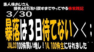 暴落は3日待てないJalco我慢できずに100株買い増し14,100株主になれました