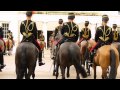 The King's Troop Royal Horse Artillery