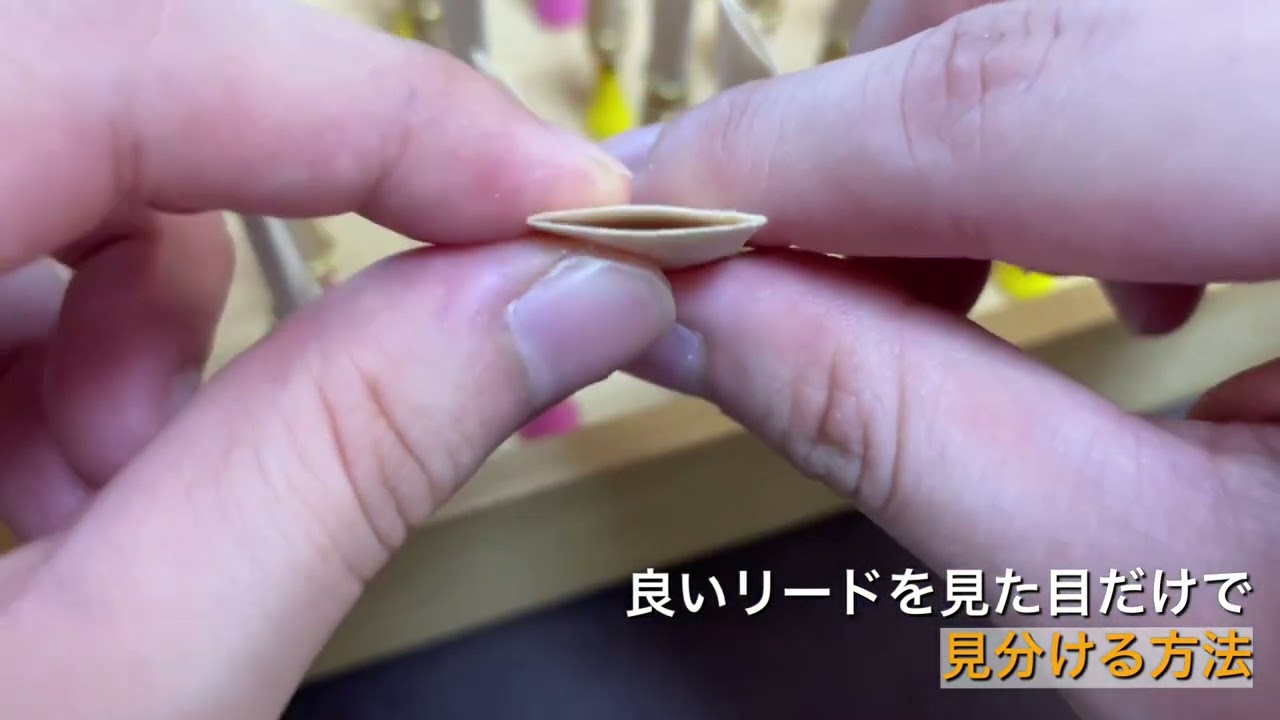 ファゴットレッスン】良いリードを見た目だけで見分ける方法 - YouTube