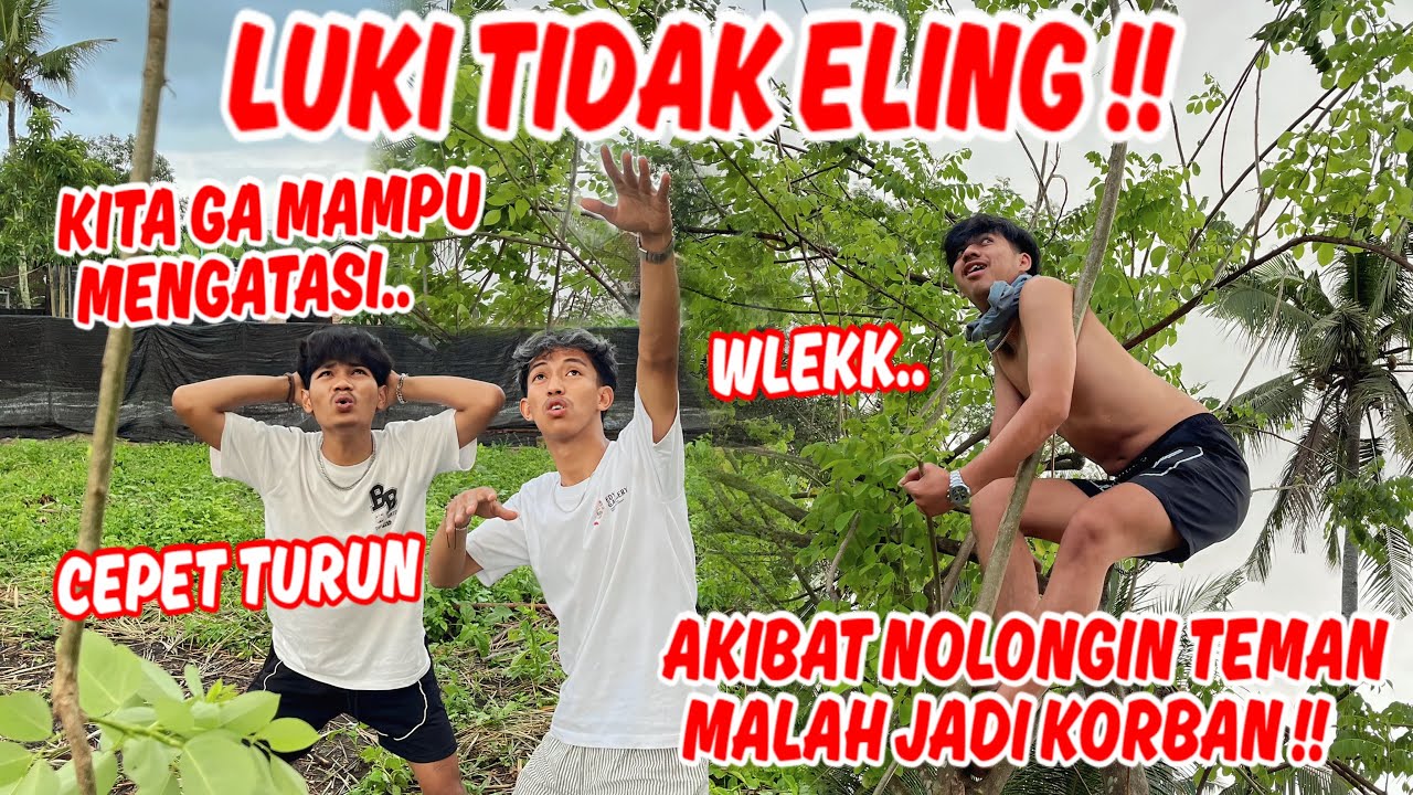 NIAT BAIK TIDAK SELALU BERAKHIR BAIK !! nasib Luki setelah menyelamatkan feri jadi seperti ini