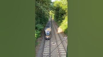 🚃 paradise