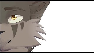 Коты Воители Нормально Коты Воители Нормально