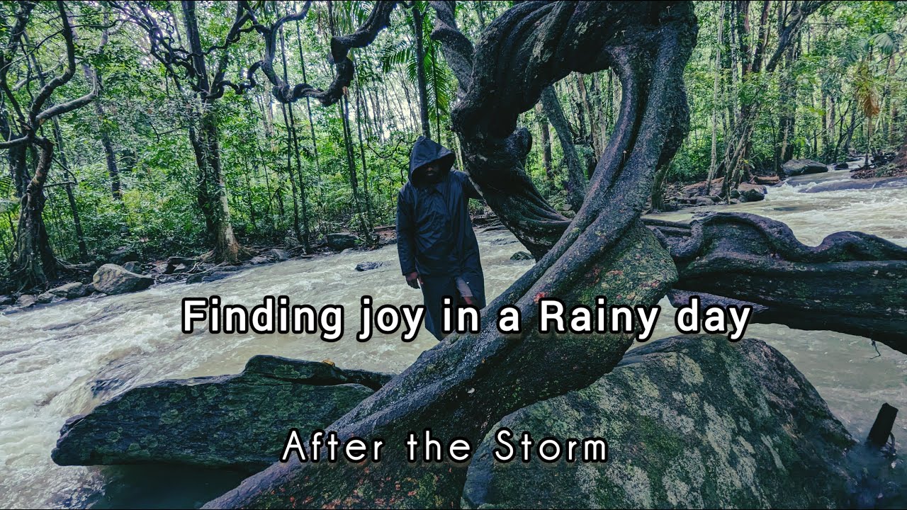 After the Storm - Exploring the Calm Post Rain Beauty