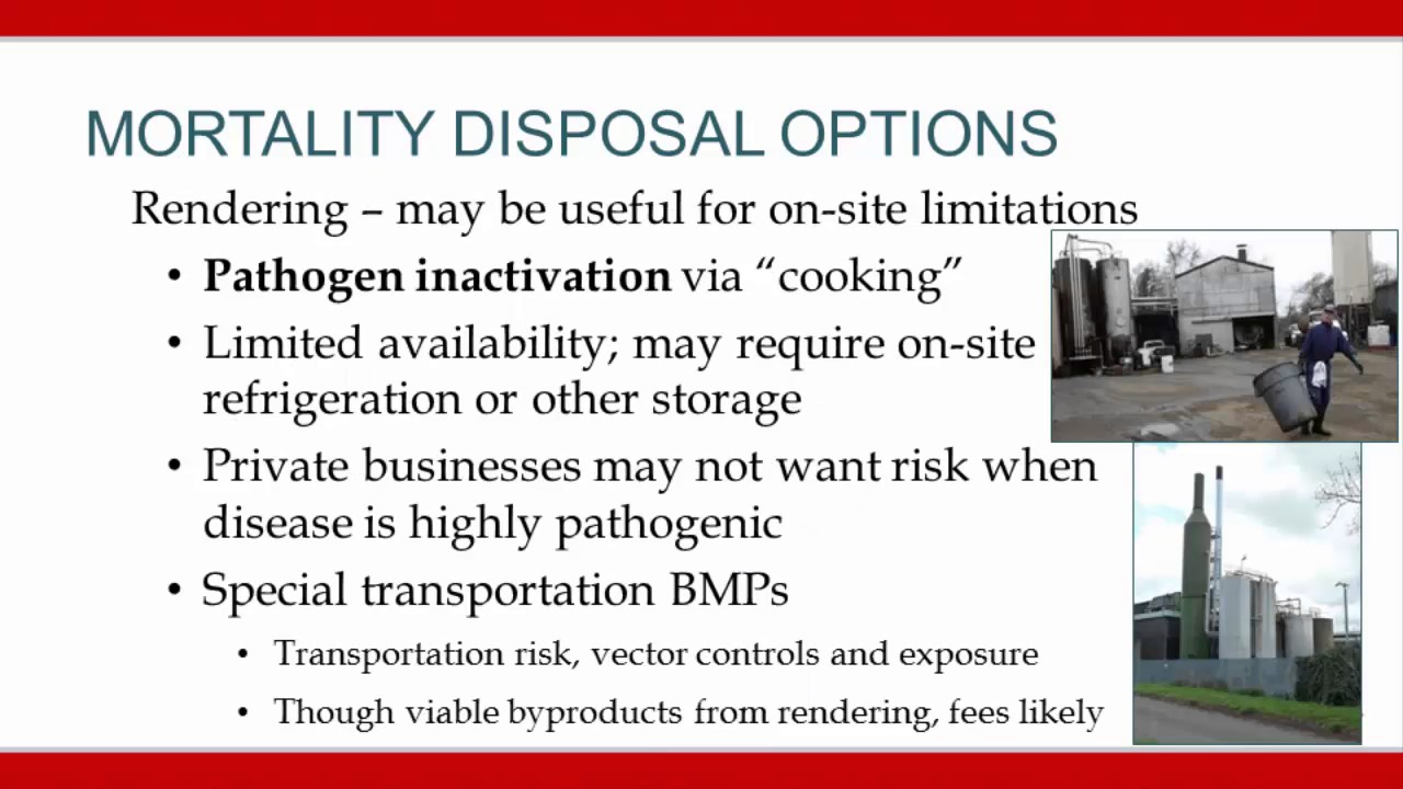Livestock Mortality Management Options in Nebraska