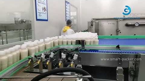 Customized milk bottle buffering conveyor large wide food grade conveyor