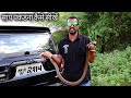 साप पकडना कैसे सिखते है.. जानने के लिए इस वीडियो को आखरी तक देखिये.. Snake catching information