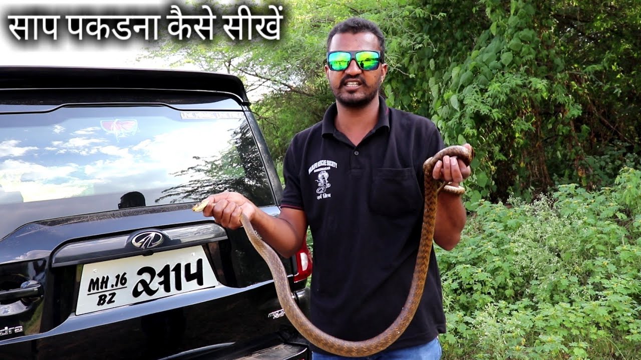 nagbibilang ng poste साप पकडना कैसे सिखते है.. जानने के लिए इस वीडियो को आखरी तक देखिये.. Snake catching information
