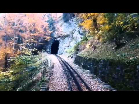 قصيدة منهجية رائعة فيها نصيحة أخوية نافعة 