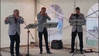 @animato1978 - Alte Kameraden - Mundharmonika