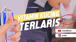 Rekomendasi Nutri Plus Gel Vitamin Terbaik Untuk Kucing