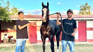 VI GP PROMESSAS DO TURFE 2026 - Balsas MA - Haras Estilo do Vaqueiro 
