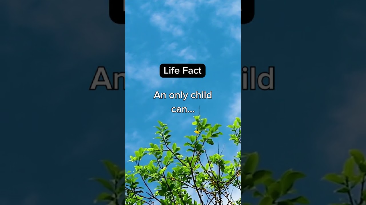 "Reveal the Factscape: 🗺️ 