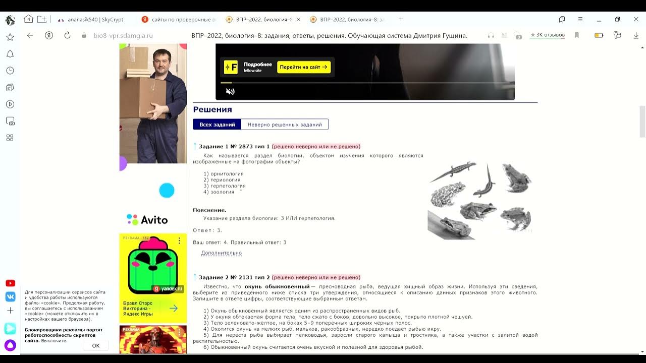 Решу впр https math5 vpr sdamgia ru