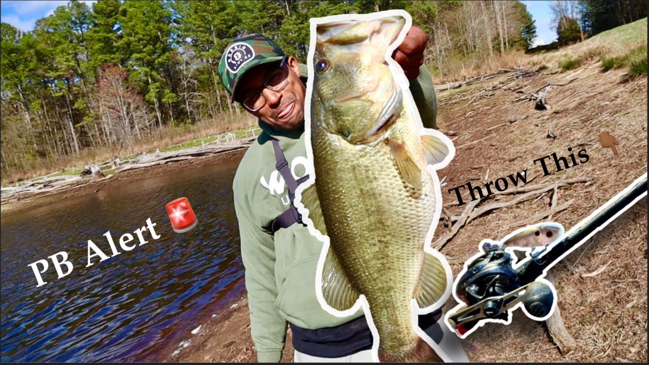 BASS FISHING 2021 I FISHING 2021 I FRIDAY SPECIAL BASS FISHING 2021