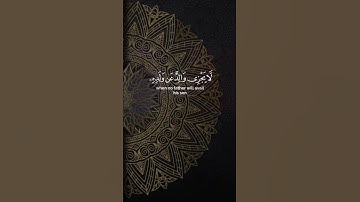 ياسر الدوسري- سورة لقمان