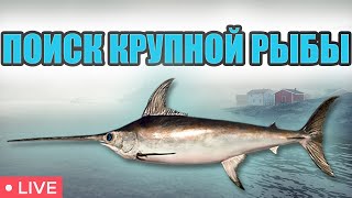 ОХОТА ЗА КРУПНОЙ РЫБОЙ НА НОРВЕЖСКОМ МОРЕ РР4