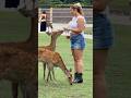 Nara Park deer 🦌 in japan