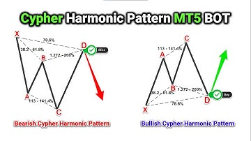 Forex Cypher Harmonic Pattern MT5 BOT/EA in MQL5 [PART 722]#forexalgotrader #forextrading #mql5 #mt5