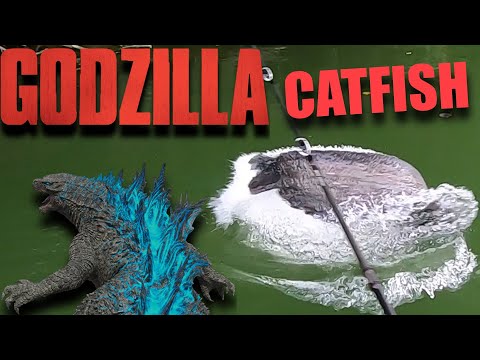 TRAILER : GODZILLA CATFISH DESTROYS MY FISHING 🐲 #fishing #fish #silure