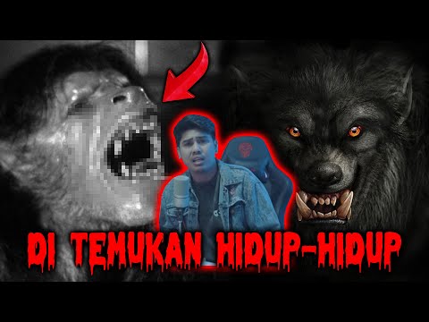 Video: Apakah jackson berubah menjadi manusia serigala?