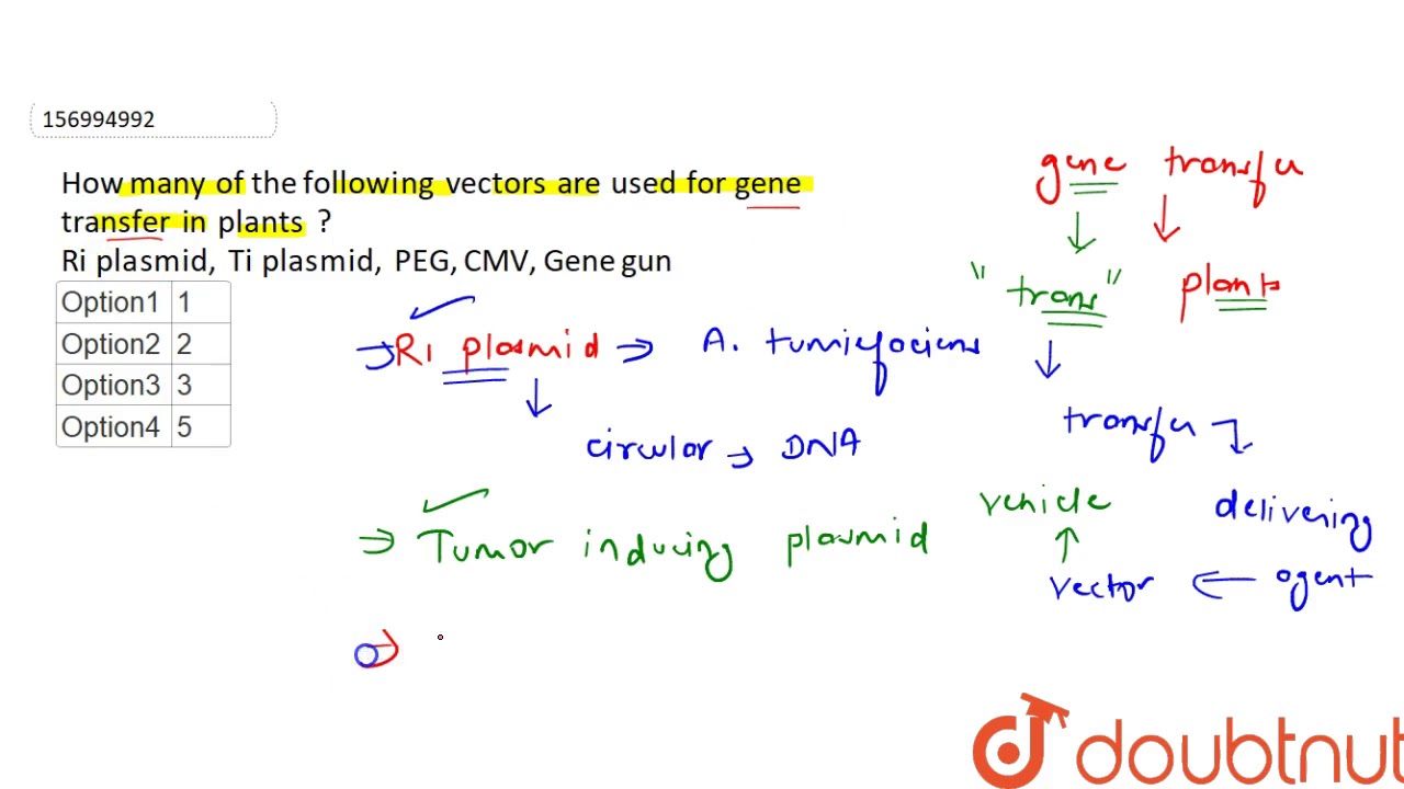 How many of the following vectors are used for gene transfer in plants