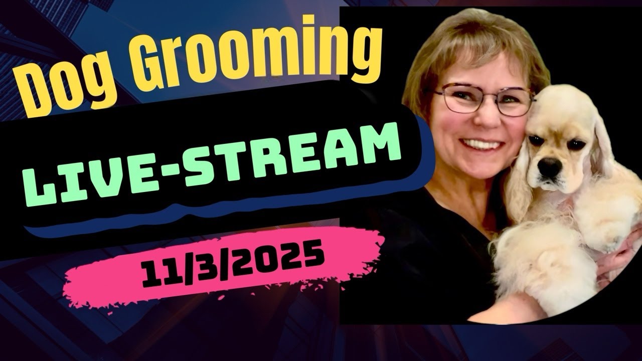 Dog Grooming behind the scenes. Watch our groomer give dog haircuts, dog bathing, & nail clipping.