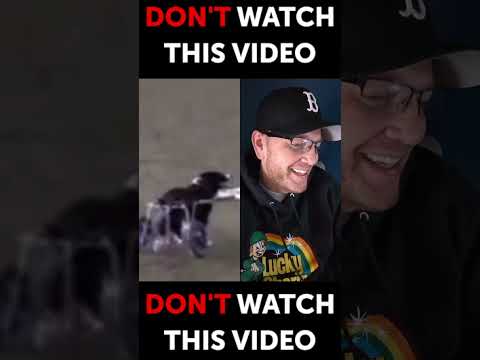 AHHHHHHHH