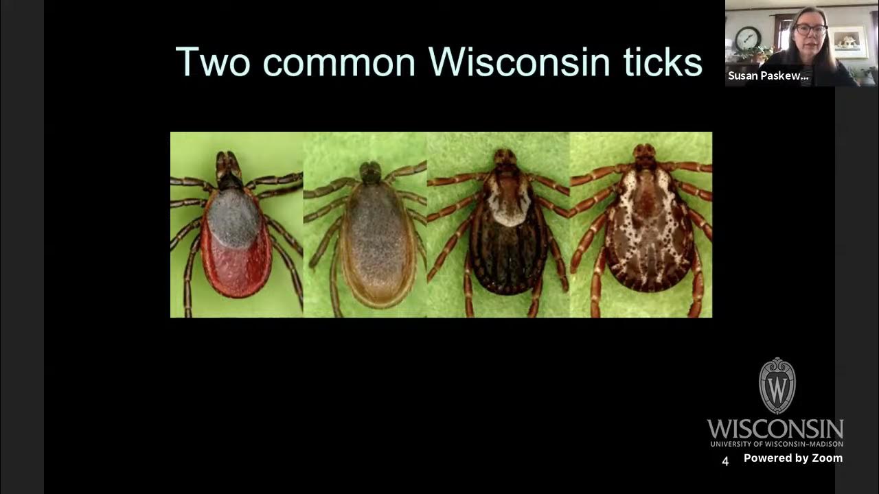 "Ticks and tickborne disease in Wisconsin and the upper Midwest", Susan