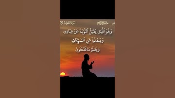 اجمل وأروع تلاوة صباحية 💚🥀صباح الخير و السعادة ♥️🥀