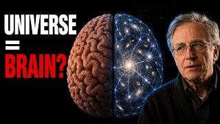 We May Be Living Inside a Giant Brain. This Is How It Communicates.
