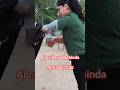 Artificial Insemination Course | Step-by-Step AI Training in Dairy Animals | Learn AI Practically |