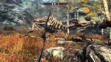Skyrim, Bug or Feature?