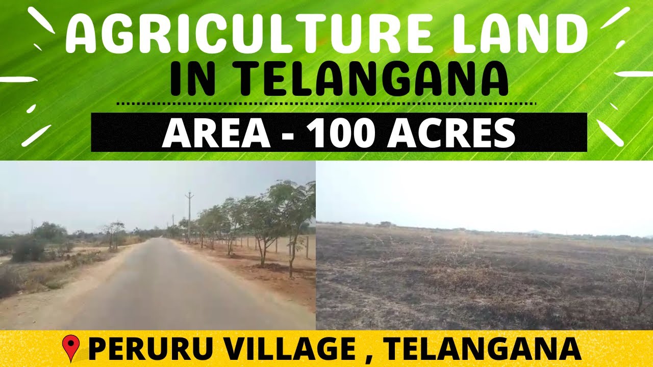 PEDDAVOORA : 100 ACRES AGRICULTURE LAND FOR SALE | DEVARAKONDA ...