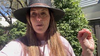 My Honest Review Before Checking Out | FURTALK