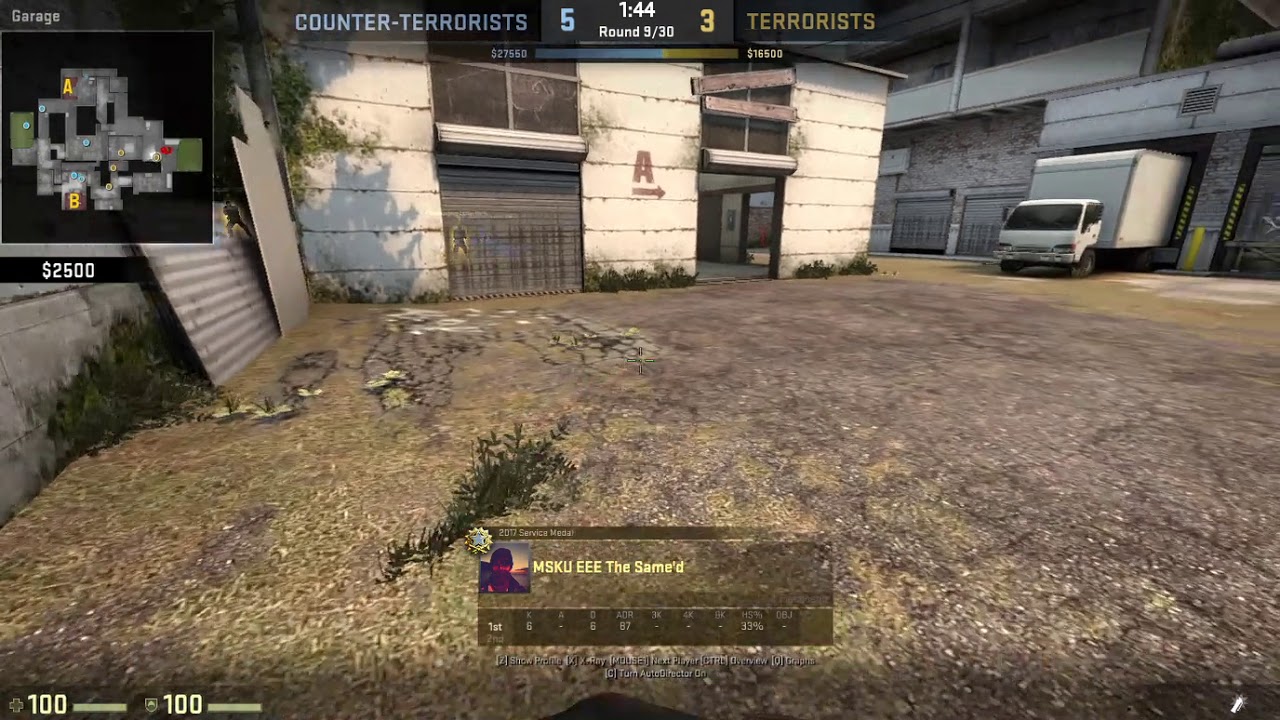 CS:GO The Same'd Cache Ace